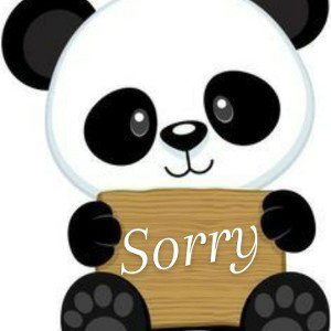 Sorry-DRC_13
