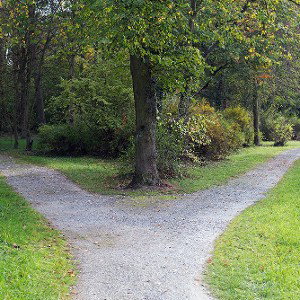 Fork the path