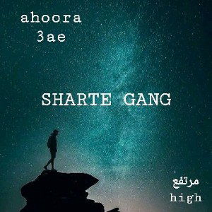 Sharte jang
