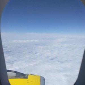 Jumped On A Plane ft #unobrown