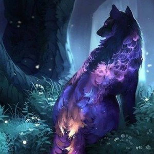 lil track. WOLF🥰🥰🐺