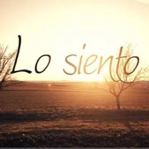 Lo siento......
