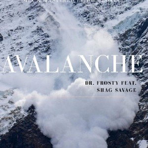 Avalanche (Dr. Frosty ft. Shag Savage)