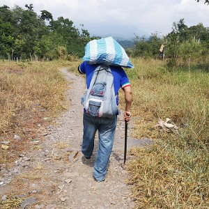 Cuidado con la Serpiente 