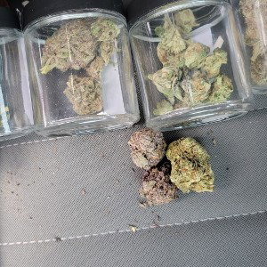 Just fucking around for fun