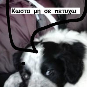 ΤΟ ΧΑΜΕΝΟ VERSE ΤΟΥ ALFa ΣΤΟ Α ΝΕΡΟΠΟΝΤΗ ΤΟΥ STOLEN