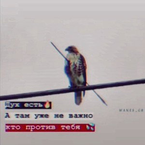𝘴𝘦𝘭𝘦𝘴𝘵𝘢 - Она немного ниже меня ростом