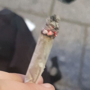 Deine Schuld