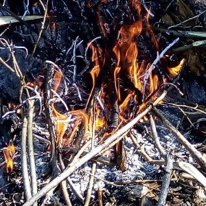 поцы скоро альбом "начало" 