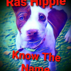 Know The Name
