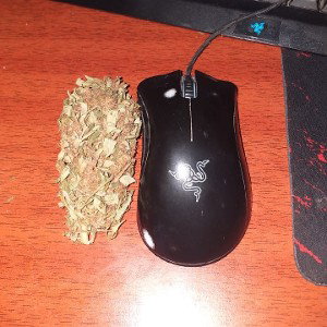K4N48l5