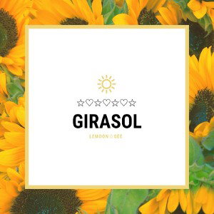 Girasol | Coyote Gris ☆ Docto Beats  Lo Fi