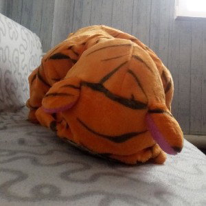 Я выбираю сам дуэт