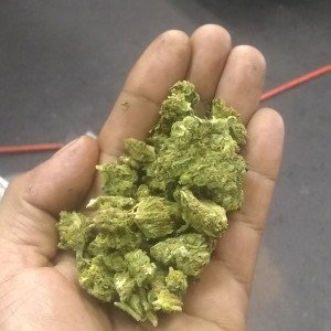 Entre el bien y el Mal Austin Martinez