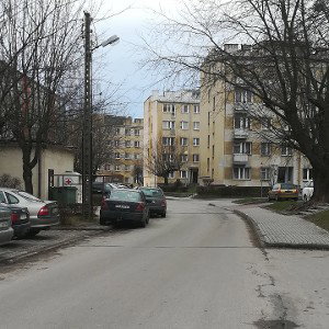 PSY SZUKAJĄ