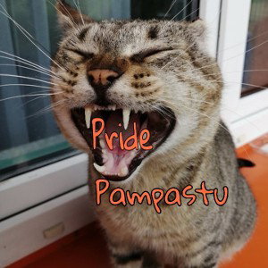 Pride