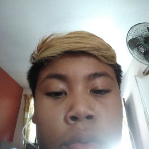 palos panas