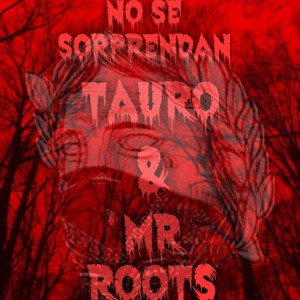 Tauro ft Mr Roots - No se sorprendan