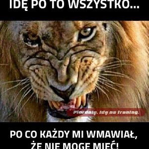DISS NA 9 OSÓB