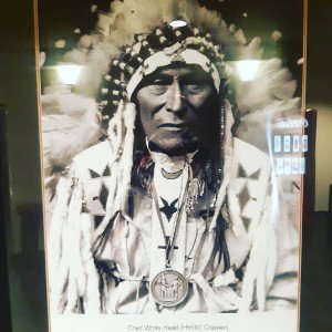 Canasterz