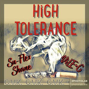 HiGH TOLERANCE