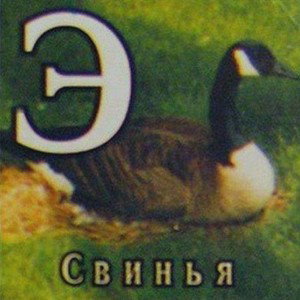 я вас слушаю.