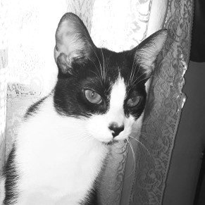 ella es tan bella 