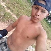 perro solo 