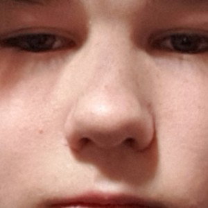 bär ohne fell