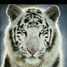 02 jee le le jee le le