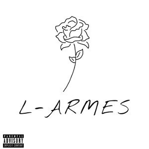 L-ARMES