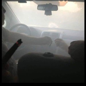 Blunseii - FIN