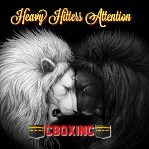 Heavy Hitters Attention© (Instrumental)