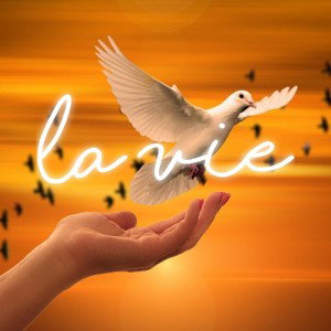 la vie