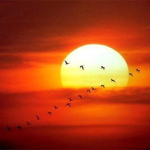 amanecer