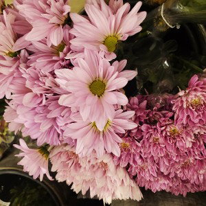 sent flowers