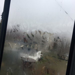 Вдохнуть 