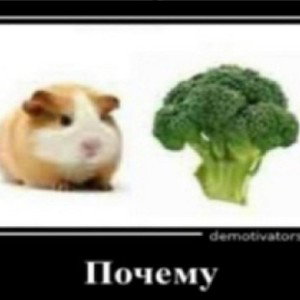Фристайл