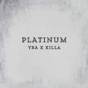 Freestyle Platinum