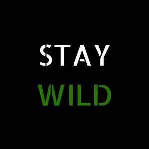 Stay Wild