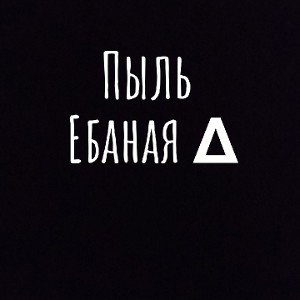 залетел домой 