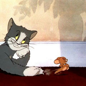 🐱 Gatos y Ratones🐭