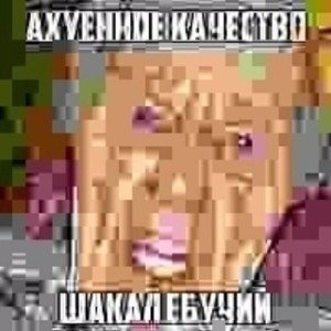 Dventy, FLOOSIN - Магазин