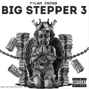 Big stepper 3