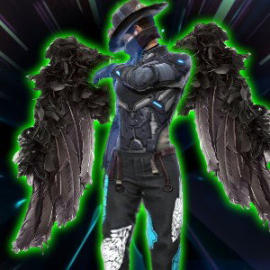 dreybey
