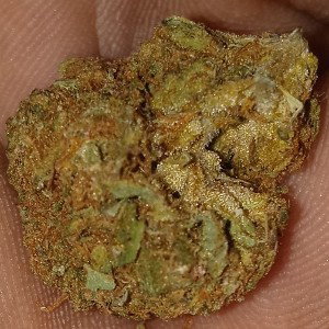 All Dutches ft Skinnie Wren