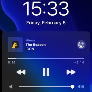 The Reason 