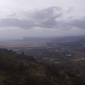 zinja