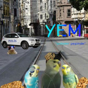 YEM