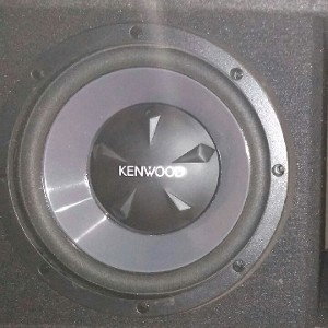 trunk_blom_blom